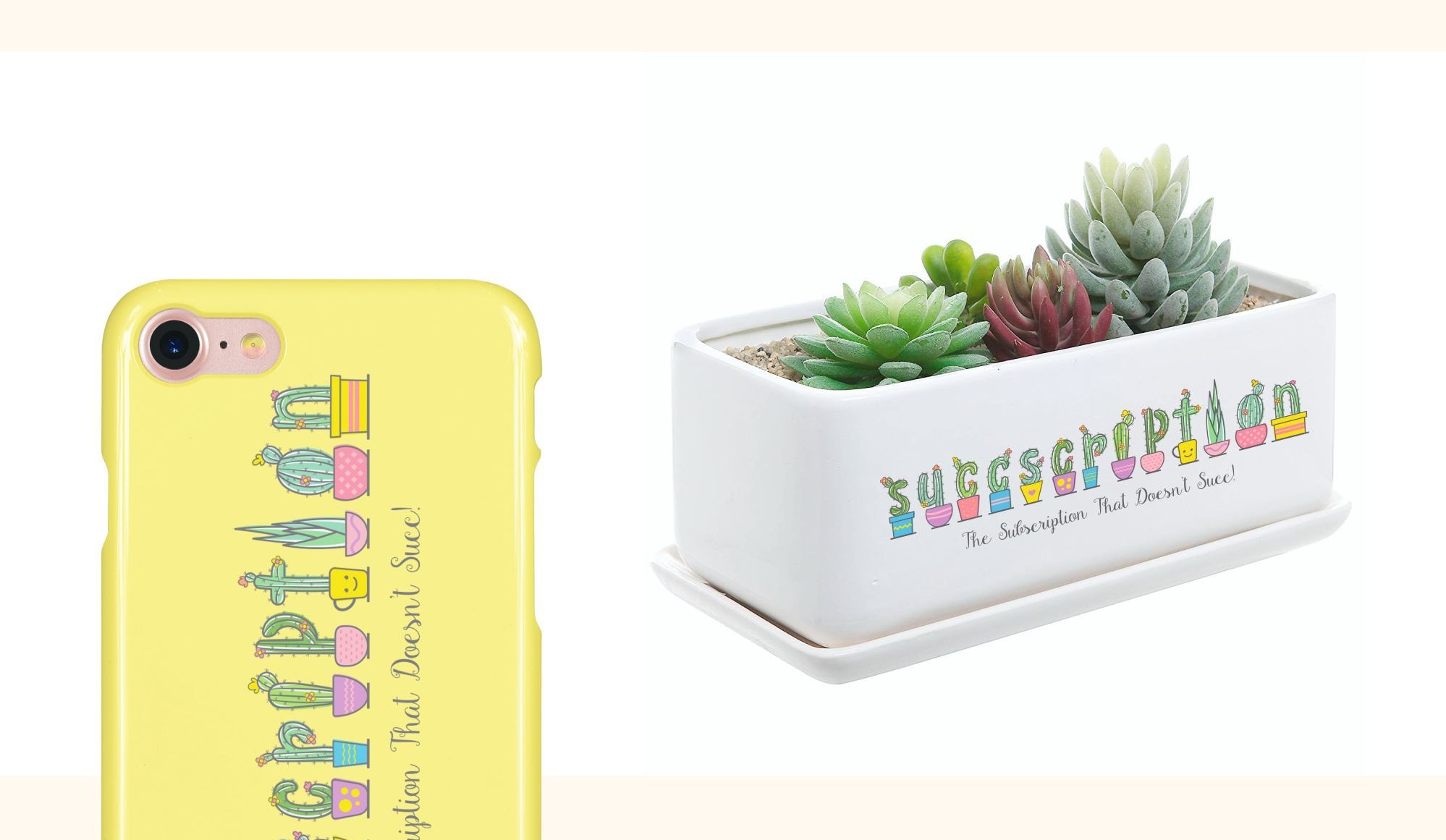 Idée cadeau pour Secret Santa : coffret-cadeau de plantes succulentes