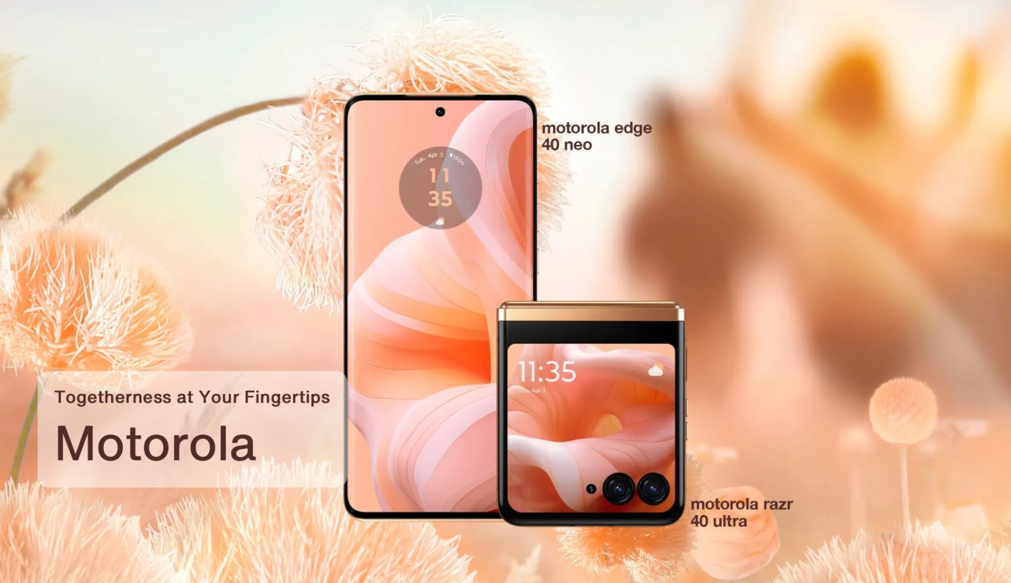 Motorola phones in the Pantone Color of the Year 2024, Peach Fuzz