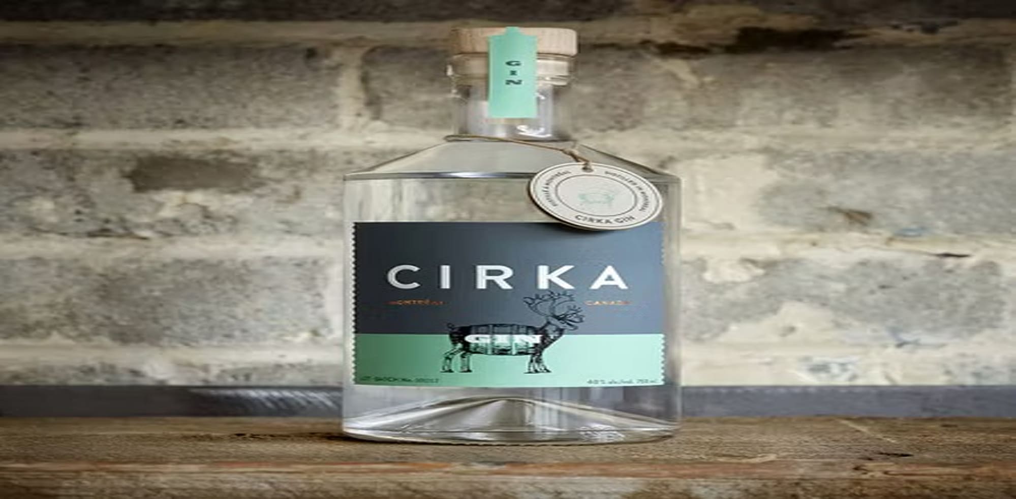 VistaPrint design review page