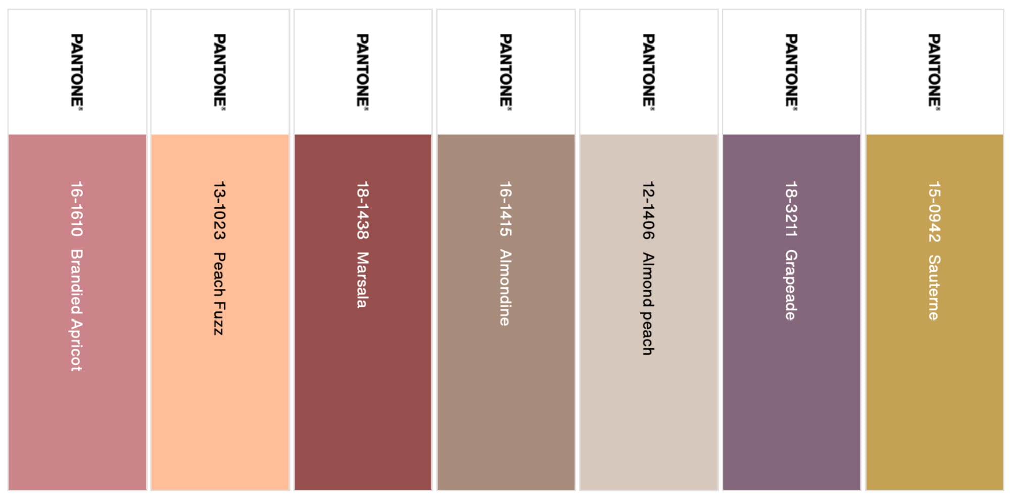 Libations 2024 Pantone Color of the Year Palette