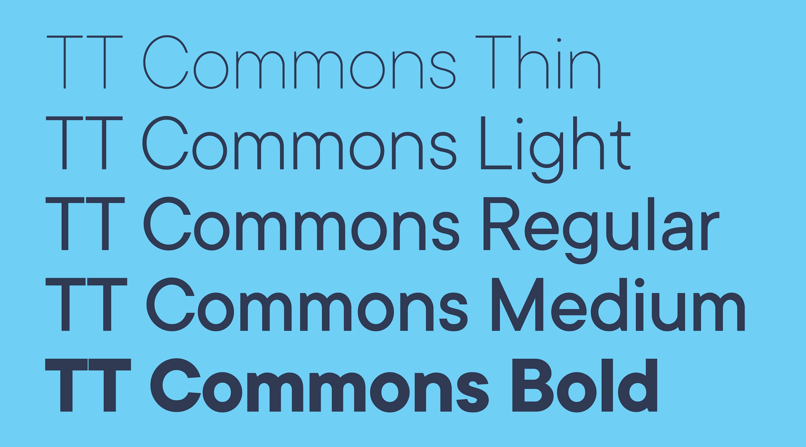 TT Commons clean poster fonts.