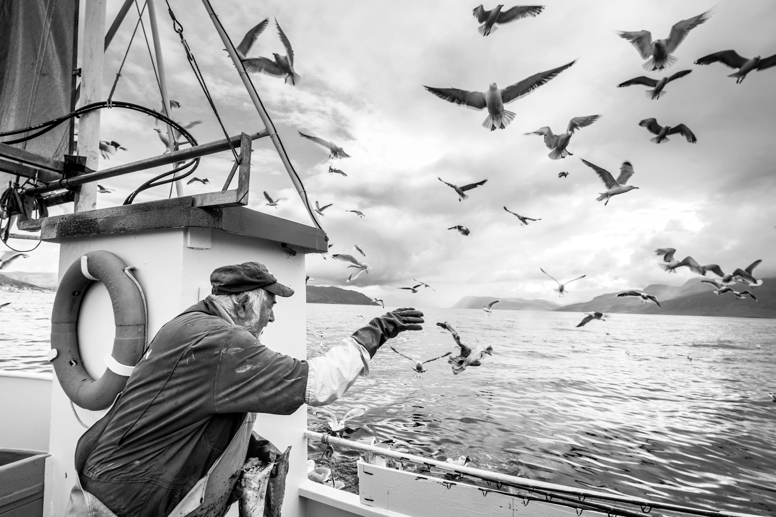 Photo en noir et blanc d'un p&ecirc;cheur sur un bateau, la main tendue vers la mer. Nombreuses mouettes planant au-dessus.