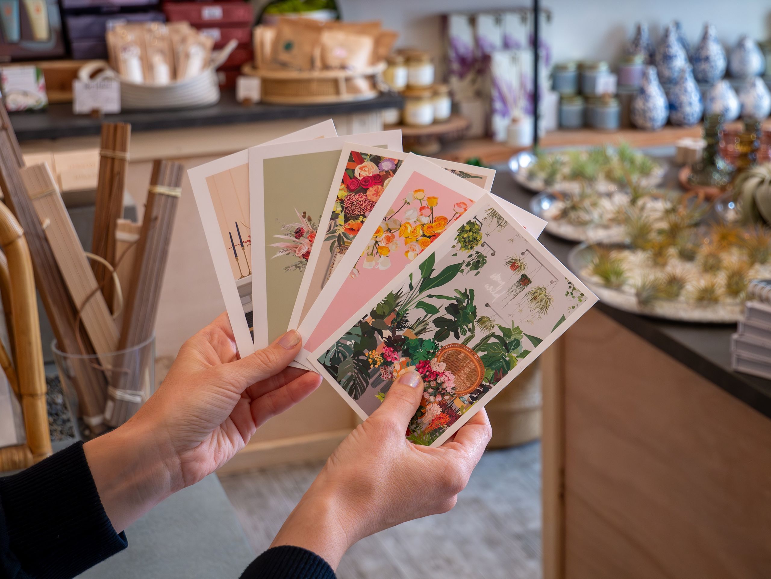 WildFlora postcards printed with VistaPrint