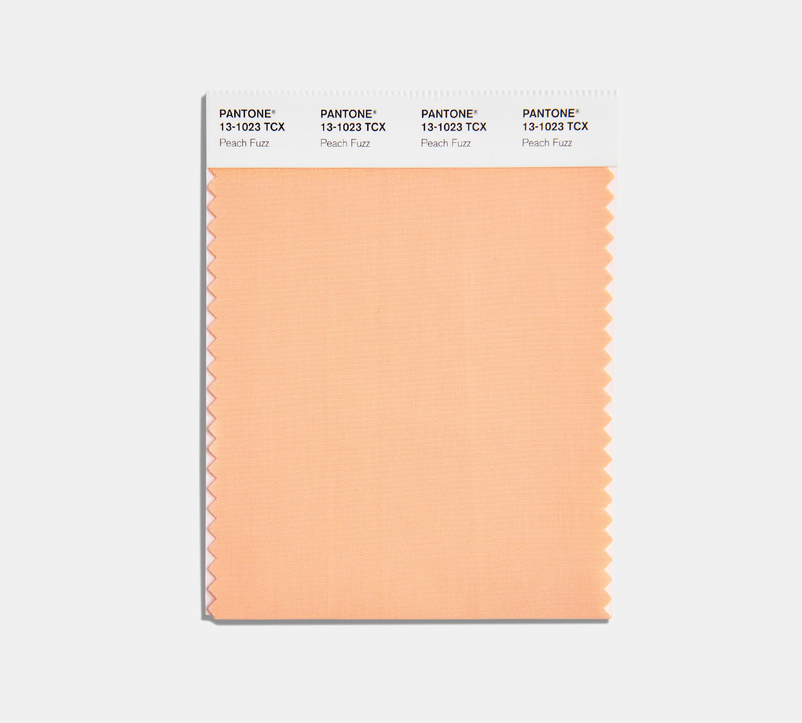 Peach Fuzz, Pantone Color of the Year 2024