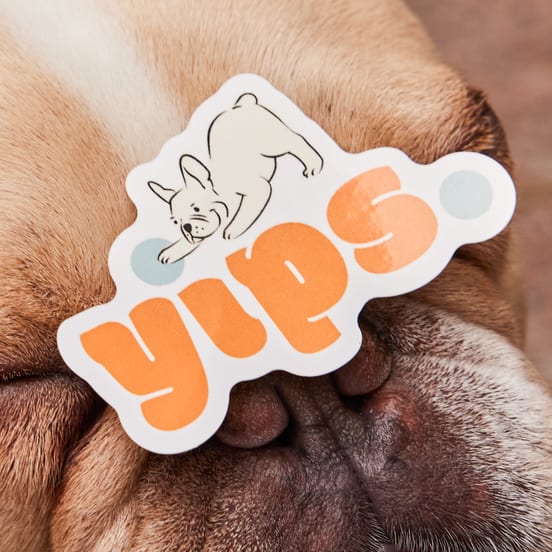 Fun and quirky logo design with mascot