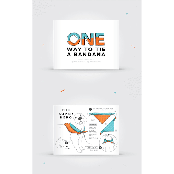 Flyer insert design idea for a pet product