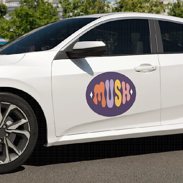 Car decal with a logo types of signs for business.