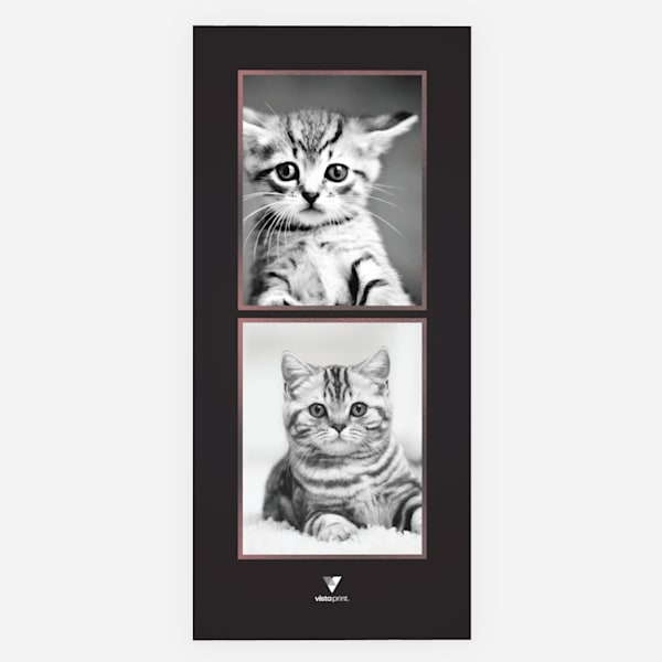Back of the cat card with two cat pictures.