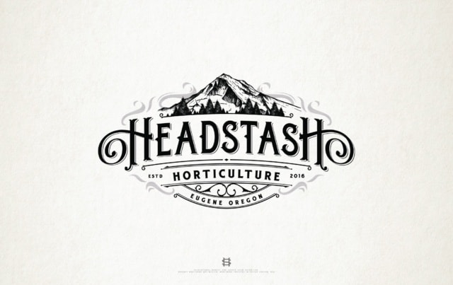 logo design for Headstash