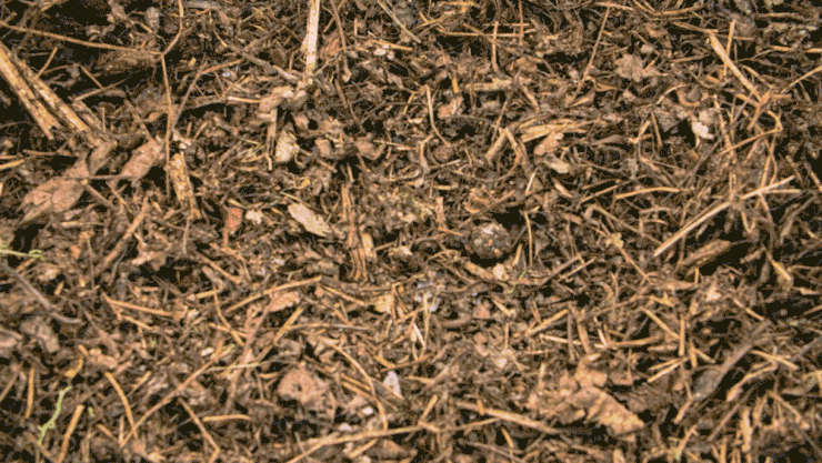 Eco-friendly brand example: compostable sunglasses.
