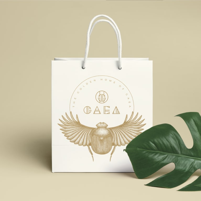 Brand identity design applied to a shopping bag