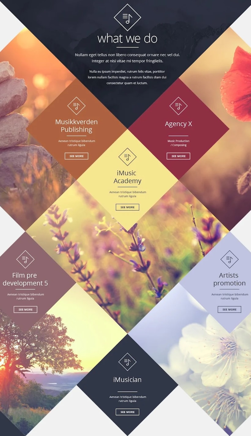 Website design with a soothing color palette