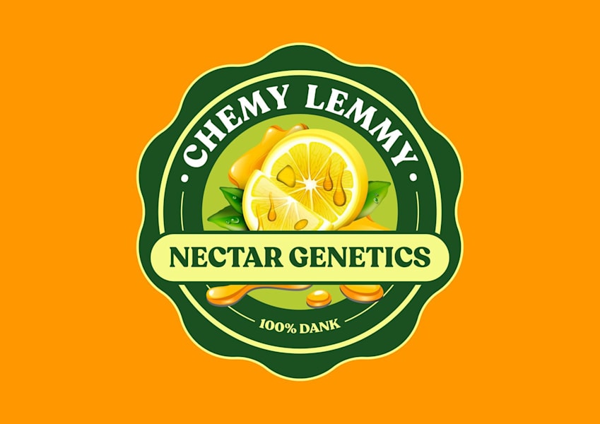 hanko stamp logo design