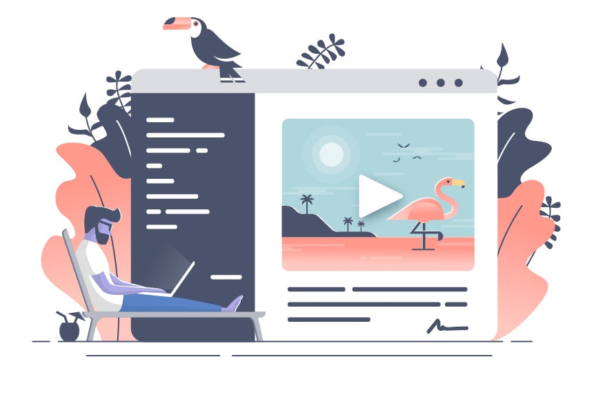 man on laptop flamingo illustration