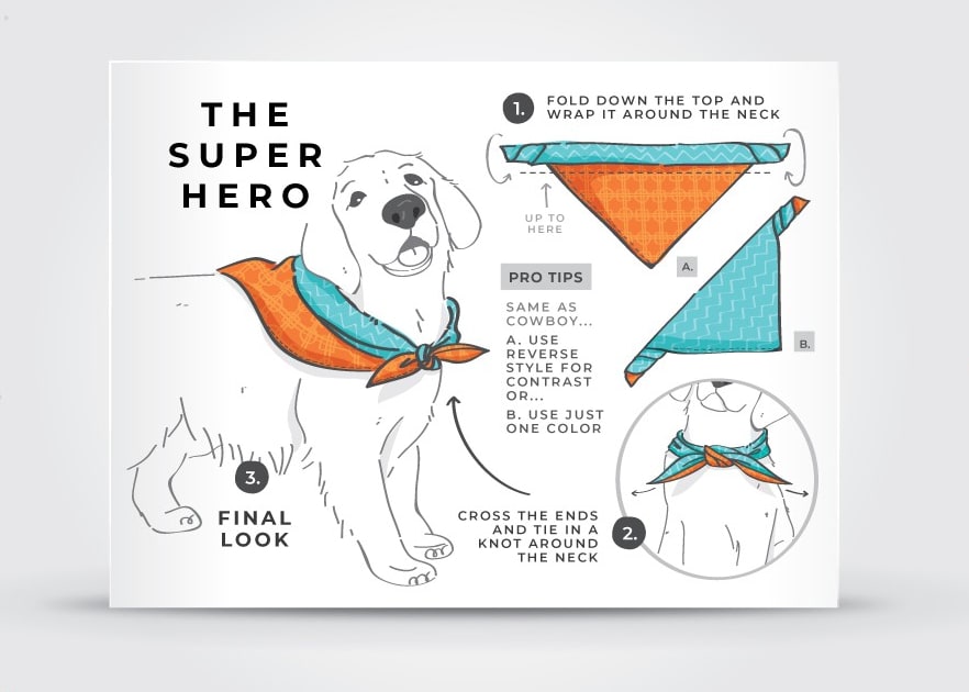 Infographie éducative sur un support produit pour une animalerie