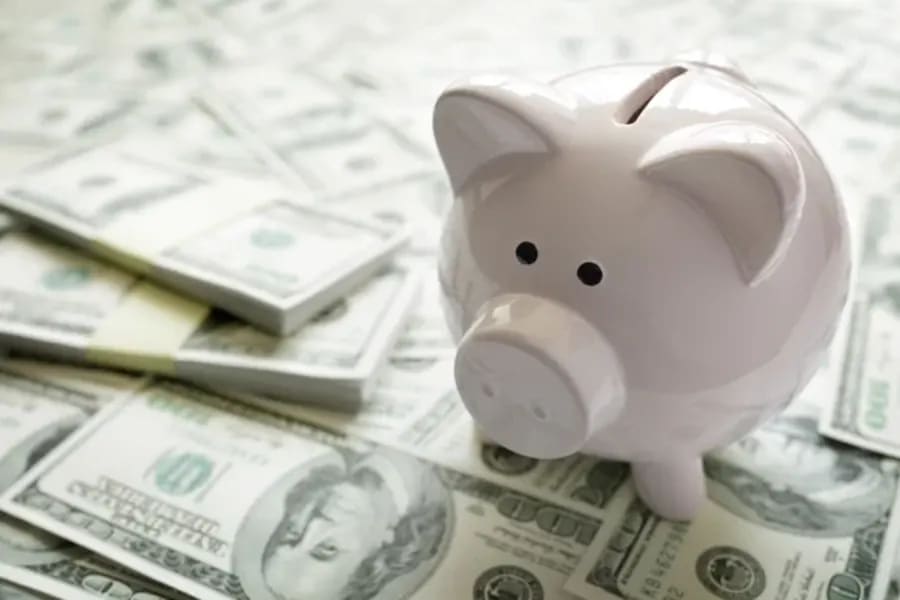 Piggy bank with dollar bills