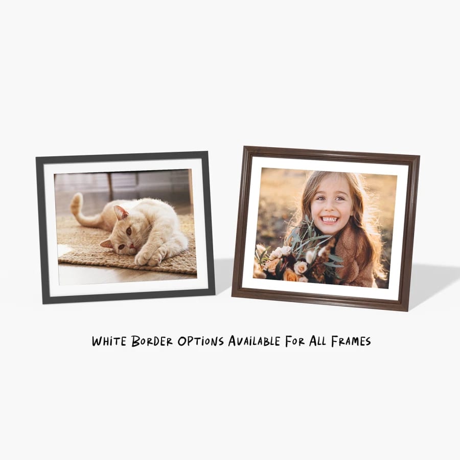 framed image of a cat