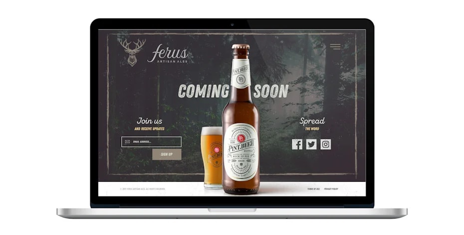 Vintage-inspired website design