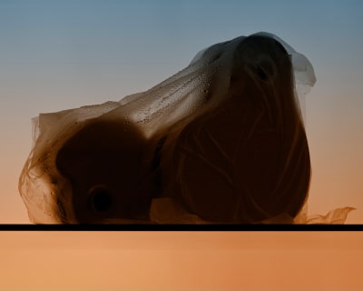 Campaign “Statement N°4” - Cécilia Poupon - © Visual Society