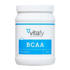 BCAA Pulver (500g)