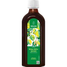 Birken Aktiv-Getränk bio (250ml)