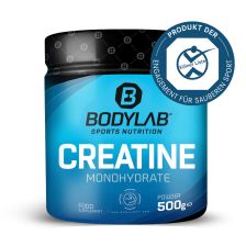 Creatine Powder (500g)