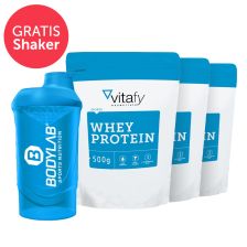 3 x Whey Protein + Bodylab 24 Shaker