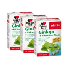 3 x Ginkgo + Vitamin B + Cholin (3x40 Kapseln)
