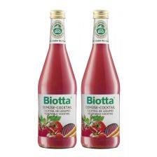 2 x Gemüse Cocktail (2x500ml)