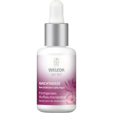 Nachtkerze Aufbau-Konzentrat (30ml)
