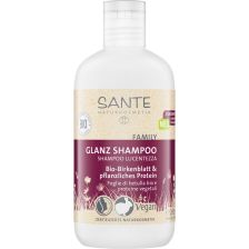 Glanz Shampoo Bio-Birkenblatt & pflanzliches Protein (200ml)