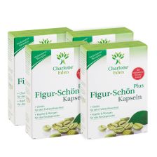 4 x Figur-Schön Plus (4x30 Kapseln)