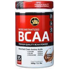 BCAA Powder (500g)