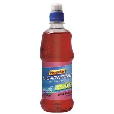 L-Carnitine Drink - 12x500ml - Ananas - MHD 30.05.2019