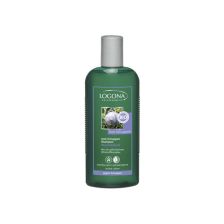 Anti-Schuppen Shampoo Wacholderöl gegen Schuppenbildung bio (250ml)