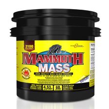 Mammoth Mass - 4536g - Vanille