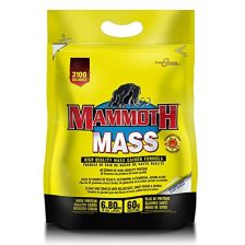 Mammoth Mass - 6804g - Schokolade-Erdnussbutter