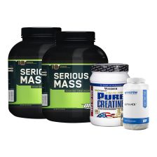 Muscle Gain Support Phase 2