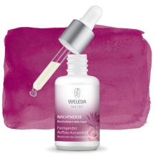 Nachtkerze Aufbau-Konzentrat (30ml)