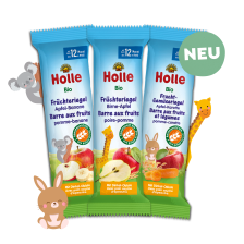 Bio-Früchteriegel/ Frucht-Gemüseriegel Probierpack, ab dem 12. Monat (6x25g)