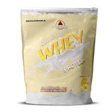 Delicious Whey (1000g)