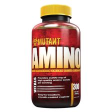 Amino Standard (300 Kapseln)
