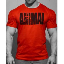 Animal Iconic Shirt Red