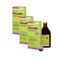 3 x Floradix mit Eisen Tonikum (3x500ml)