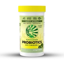 Probiotics (30 Kapseln)