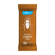 Raw Insect Bar - 20x40g - Ecuador Cocoa