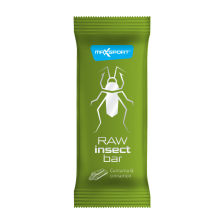 Raw Insect Bar - 20x40g - Curcuma & Cinnamon