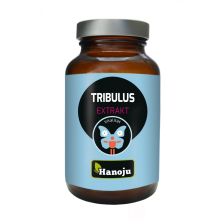 Tribulus Extrakt 80% 400 mg (90 Tabletten)