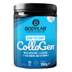Day to Day Collagen (750g) 