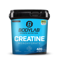 BIG PACK Creatine Monohydrate (420 Kapseln)
